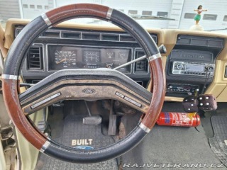 Ford V8 F100 V8 1979