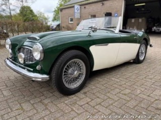 Austin Ostatní modely BN4 1959