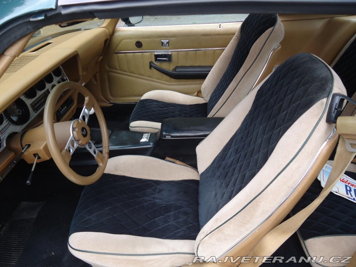 Pontiac Firebird Trans Am 6.6l Man ,Nový m 1979