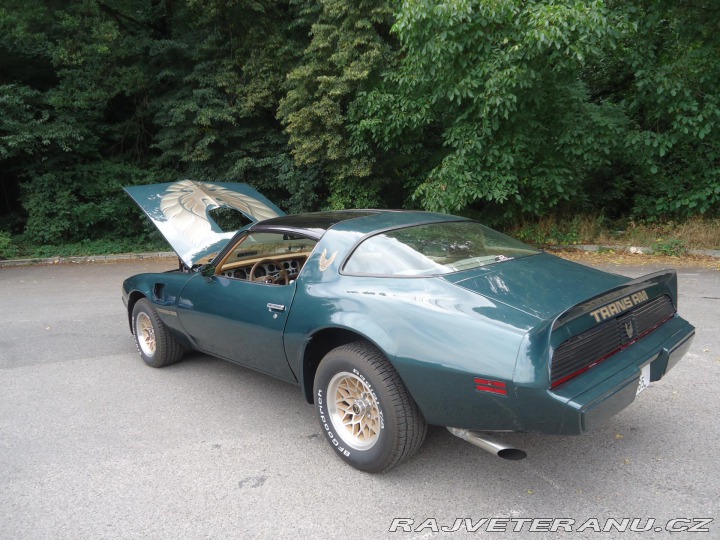 Pontiac Firebird Trans Am 6.6l Man ,Nový m 1979