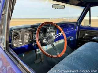 Ford F 250 1975