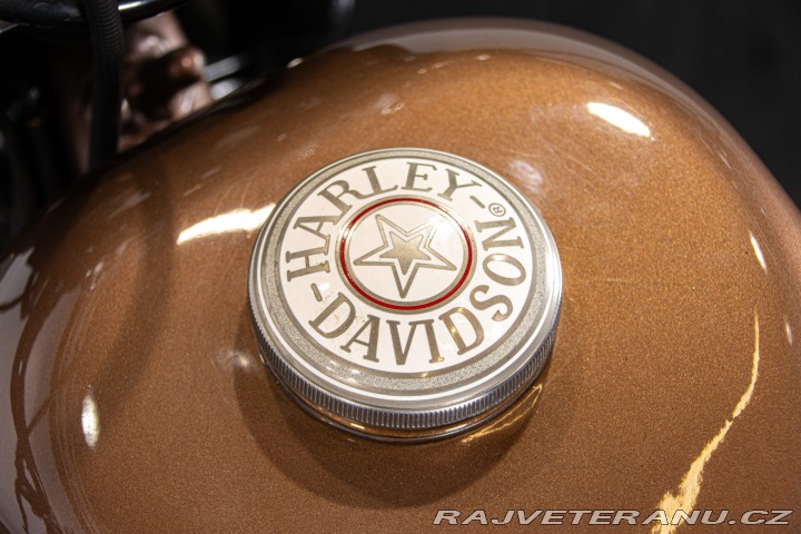 Harley-Davidson Ostatní modely SPORTSTER BOBBER 1980