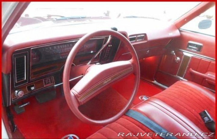 Buick Skylark V8 1976