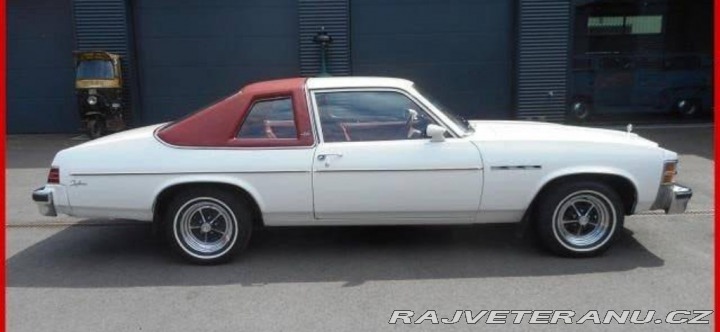Buick Skylark V8 1976