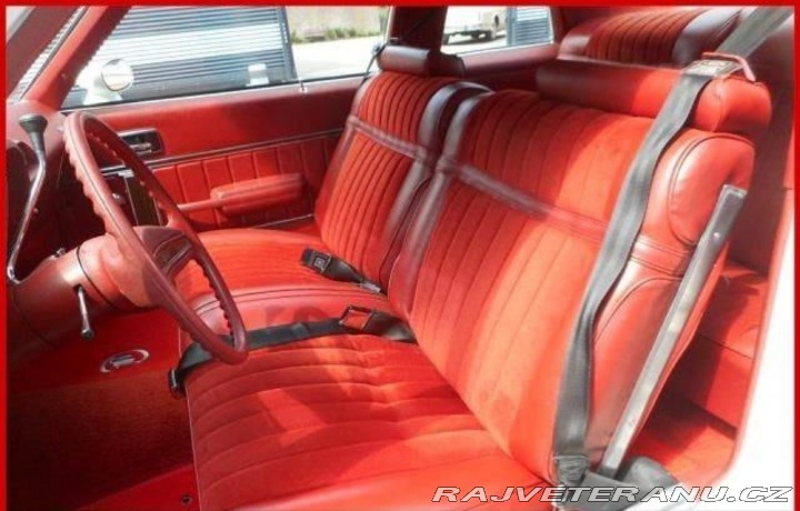 Buick Skylark V8 1976