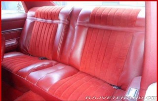 Buick Skylark V8 1976