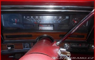 Buick Skylark V8 1976