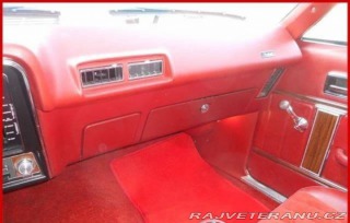 Buick Skylark V8 1976