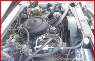 Buick Skylark V8 1976