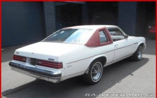 Buick Skylark V8 1976