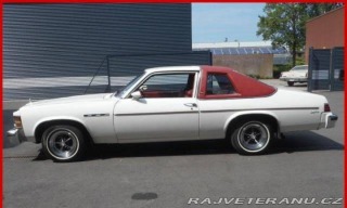 Buick Skylark V8 1976