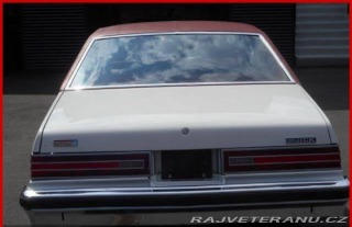 Buick Skylark V8 1976