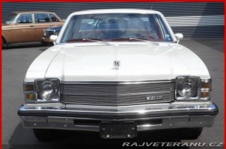 Buick Skylark V8 1976