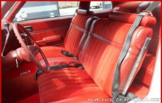 Buick Skylark V8 1976