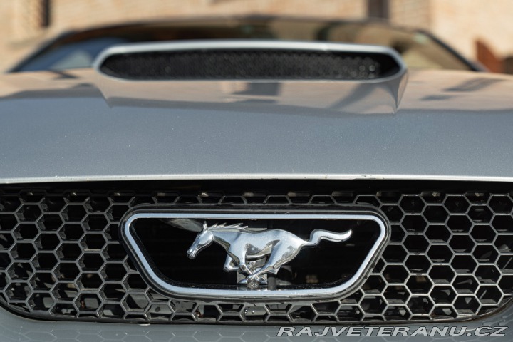 Ford Mustang GT V8 SRS 2002