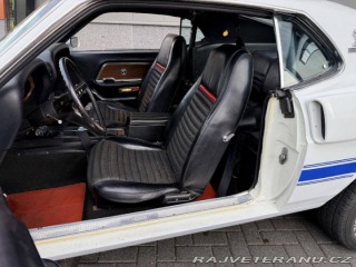 Ford Mustang Shelby GT350 Fastback 1969