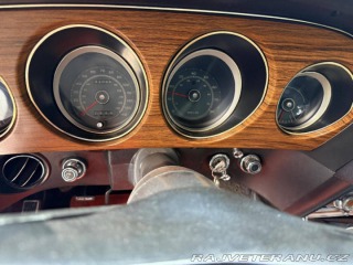Ford Mustang Shelby GT350 Fastback 1969