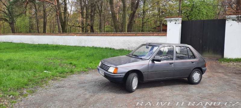 Peugeot 205 GR