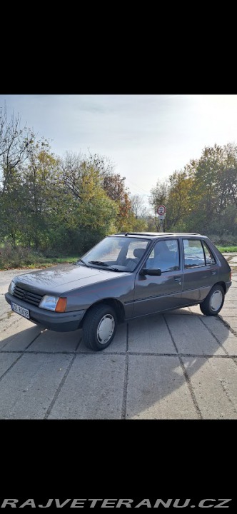 Peugeot 205 GR 1988