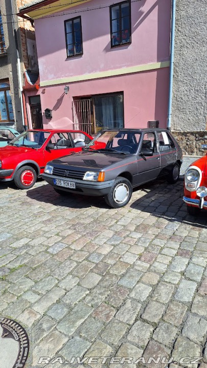 Peugeot 205 GR 1988