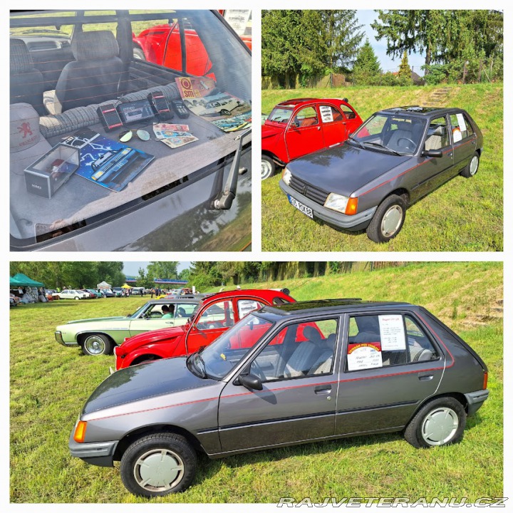 Peugeot 205 GR 1988
