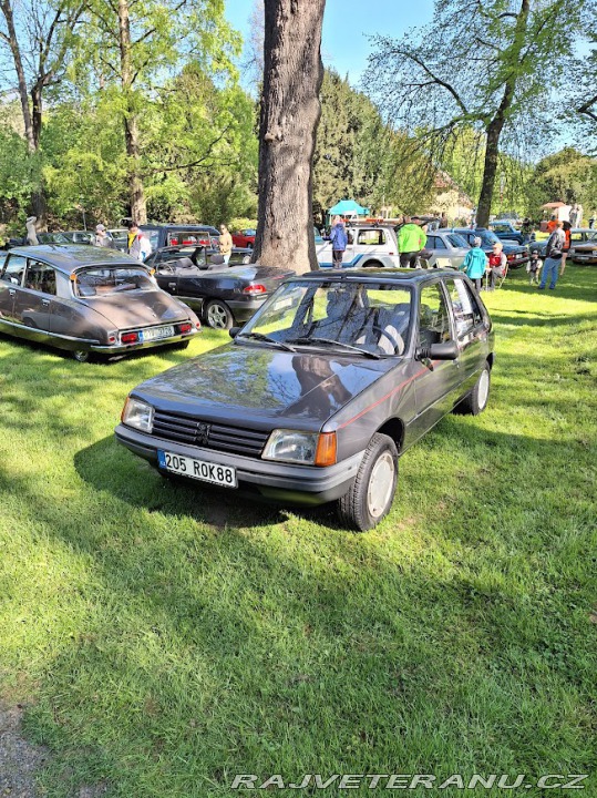 Peugeot 205 GR 1988