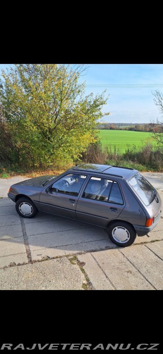 Peugeot 205 GR 1988