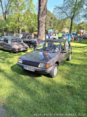 Peugeot 205 GR 1988