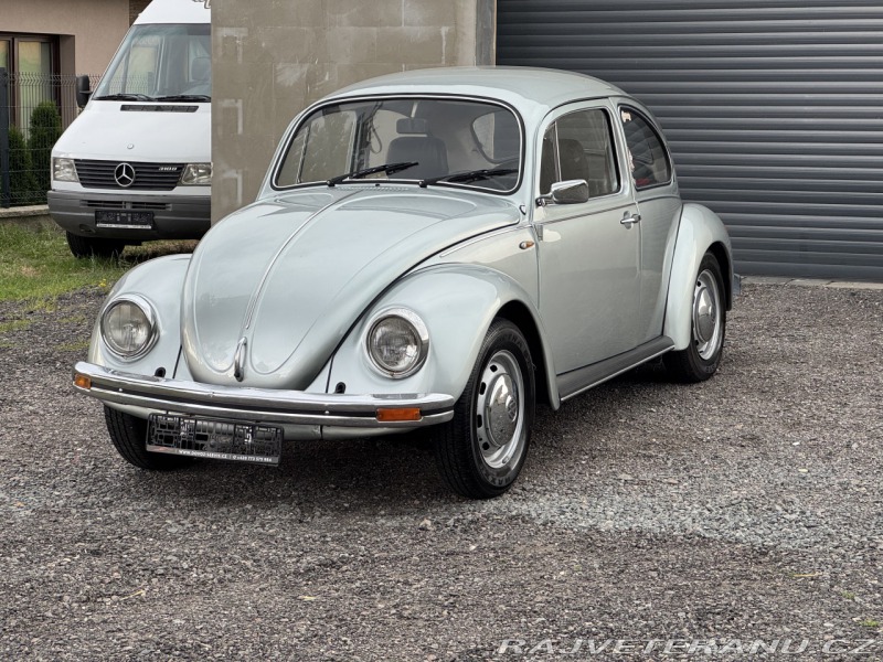Volkswagen Brouk 