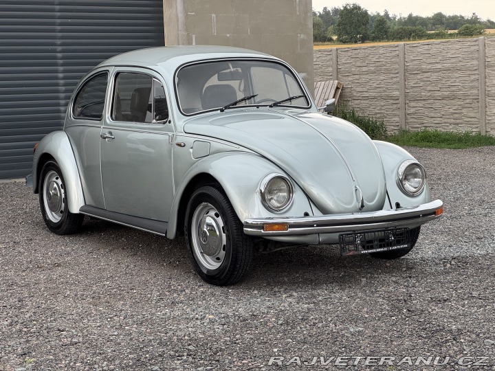 Volkswagen Brouk 1979