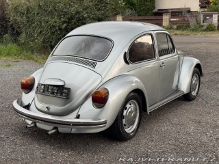 Volkswagen Brouk 1979