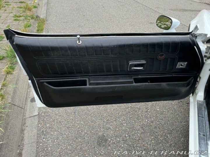 Pontiac Ostatní modely TRANS-AM V8 6.6 1977