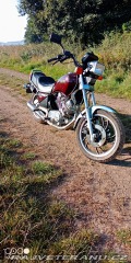 Yamaha XV 920 J 1982
