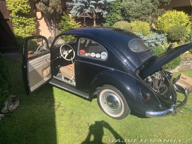 Volkswagen Brouk ovál