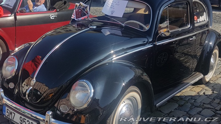 Volkswagen Brouk ovál 1953