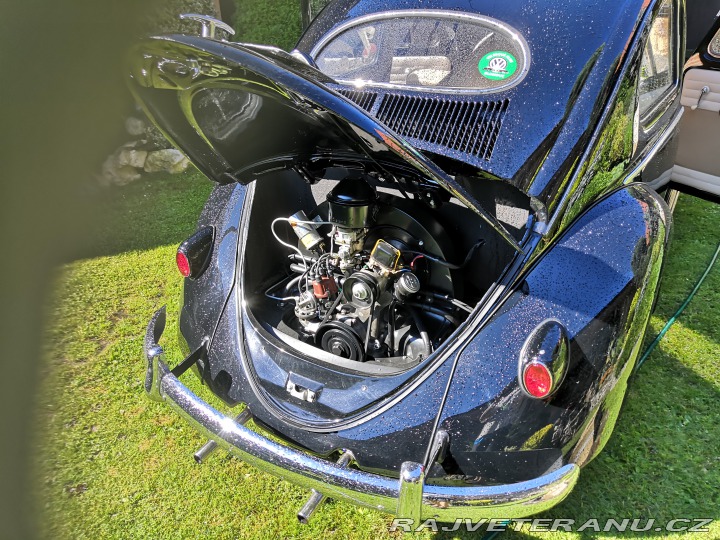 Volkswagen Brouk ovál 1953