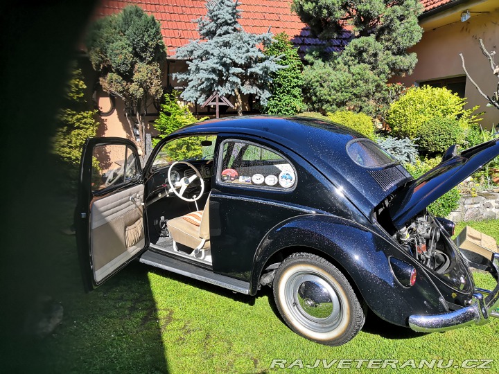 Volkswagen Brouk ovál 1953