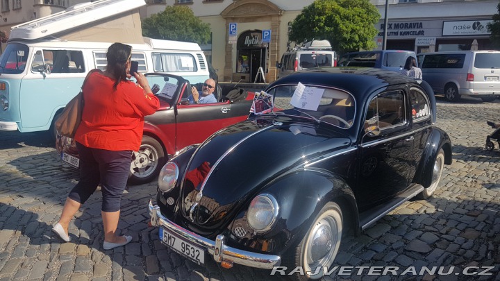 Volkswagen Brouk ovál 1953