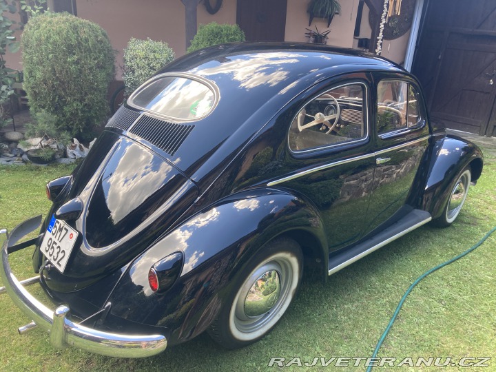 Volkswagen Brouk ovál 1953