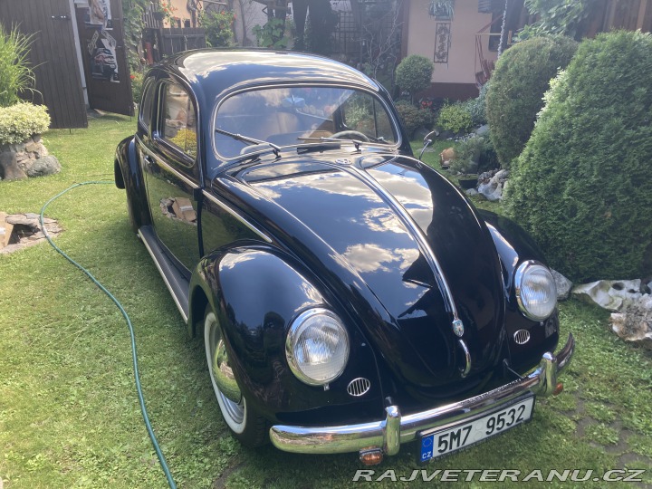 Volkswagen Brouk ovál 1953