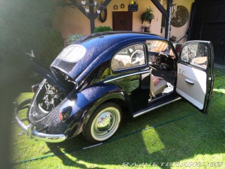 Volkswagen Brouk ovál 1953