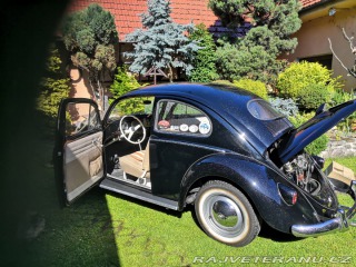 Volkswagen Brouk ovál 1953