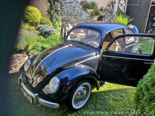 Volkswagen Brouk ovál 1953