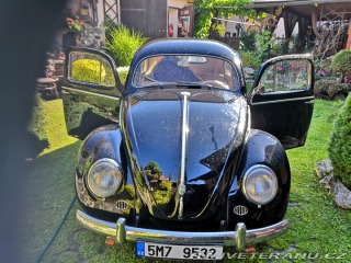 Volkswagen Brouk ovál 1953