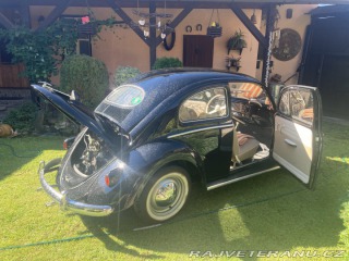 Volkswagen Brouk ovál 1953