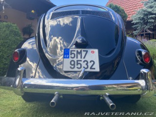 Volkswagen Brouk ovál 1953