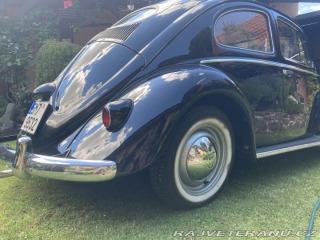 Volkswagen Brouk ovál 1953