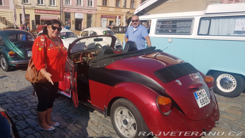 Volkswagen Brouk speedster