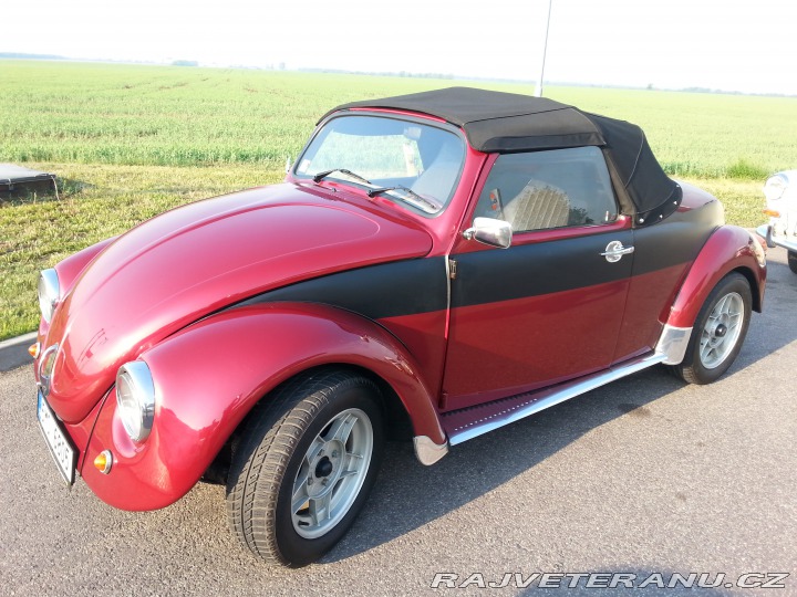 Volkswagen Brouk speedster 1970