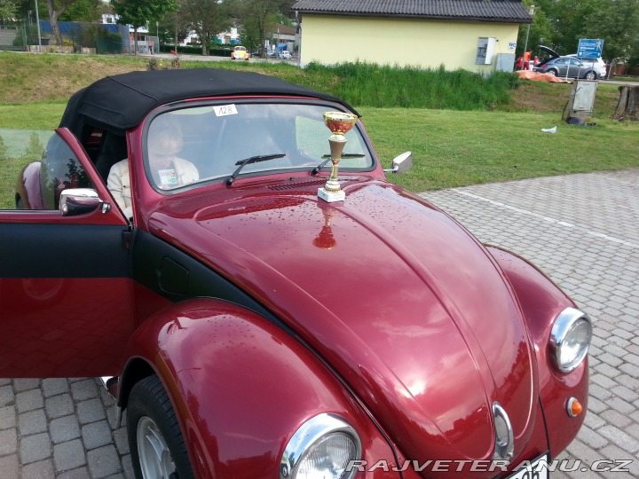 Volkswagen Brouk speedster 1970